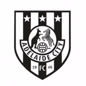 阿德莱德城后备队logo