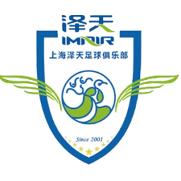 上海泽天logo