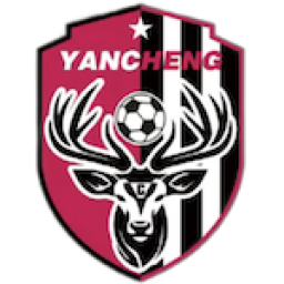 盐城队logo